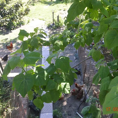 Cascina Bedria ベッド・アンド・ブレックファスト Chiaverano