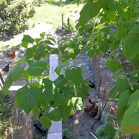 Cascina Bedria