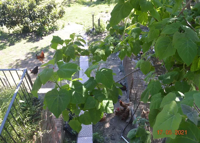 Cascina Bedria Отель типа 